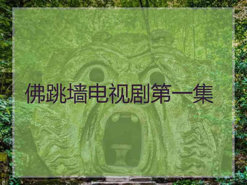 佛跳墙电视剧第一集