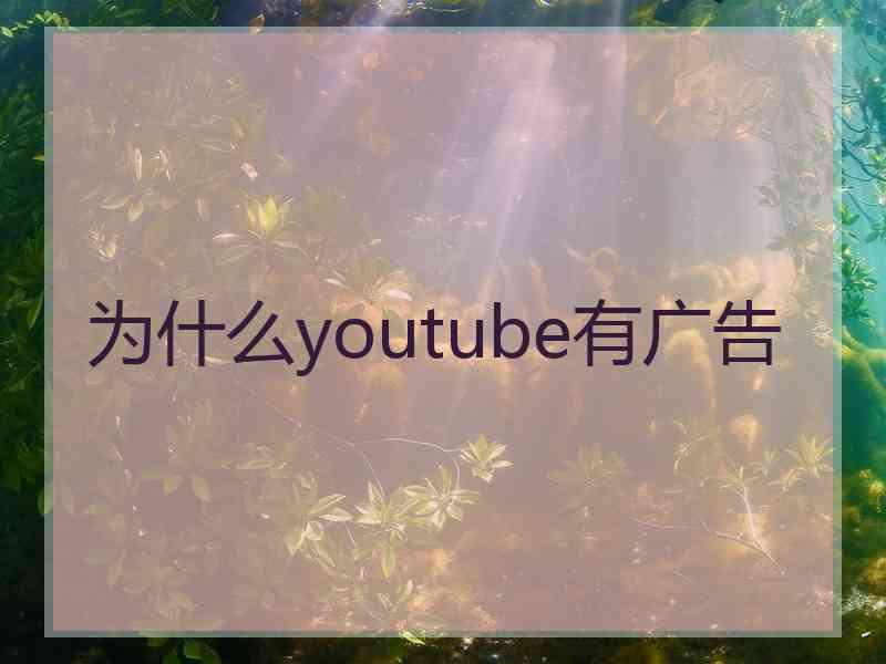 为什么youtube有广告