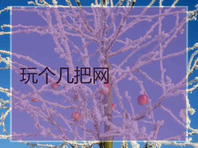 玩个几把网