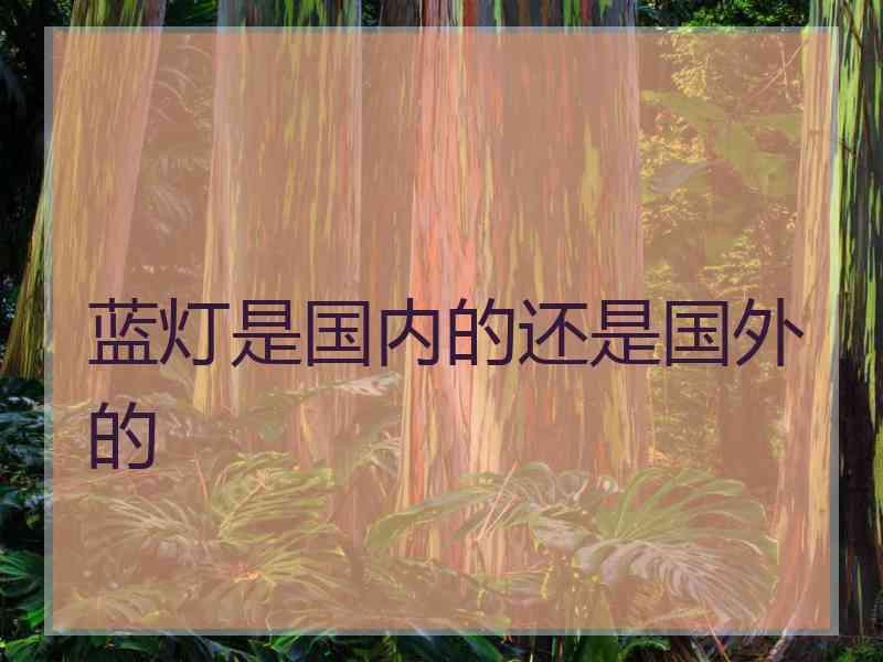 蓝灯是国内的还是国外的
