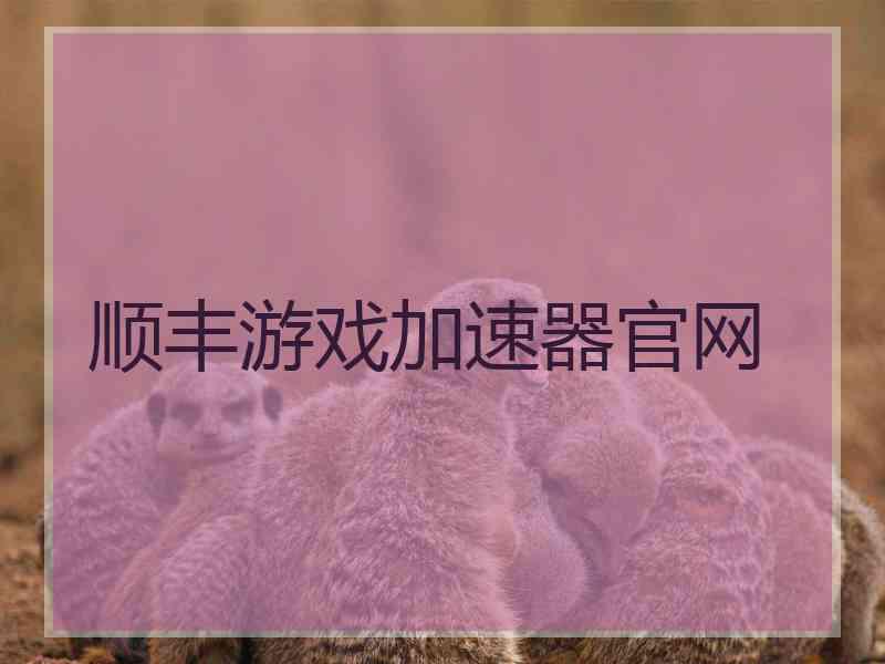 顺丰游戏加速器官网