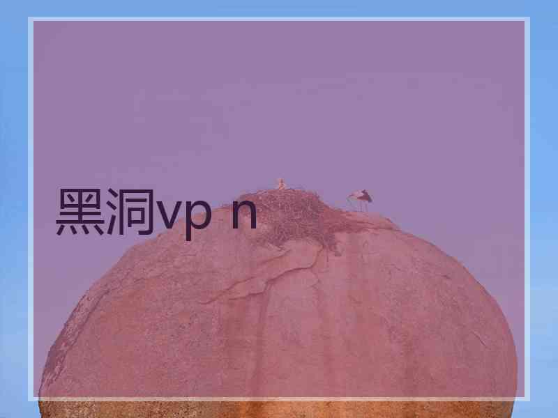 黑洞vp n