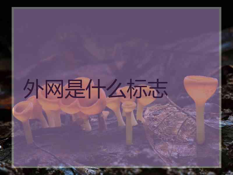 外网是什么标志