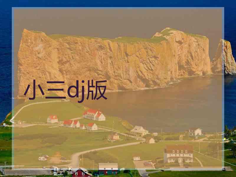 小三dj版
