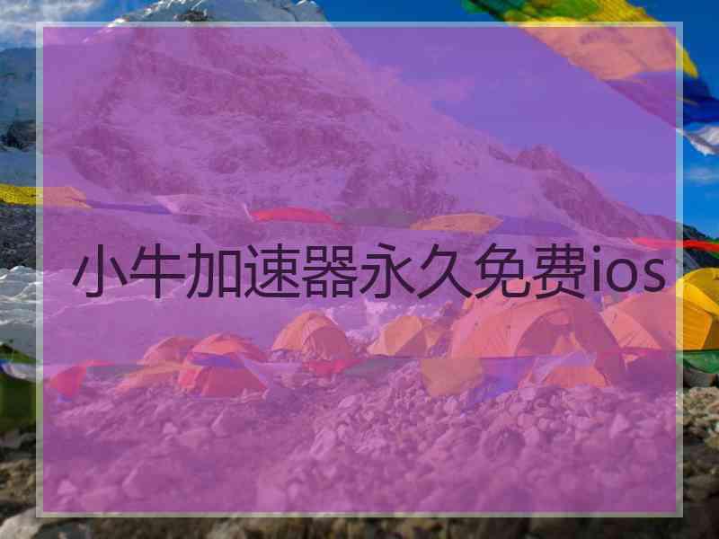 小牛加速器永久免费ios