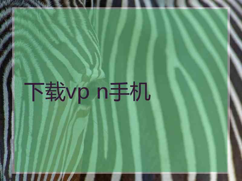 下载vp n手机