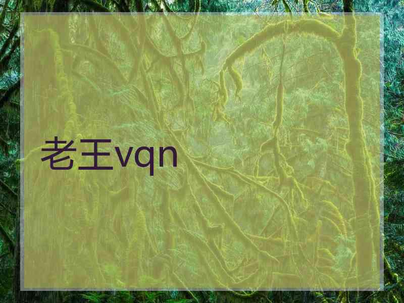 老王vqn