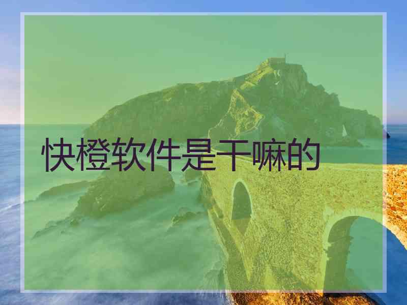 快橙软件是干嘛的
