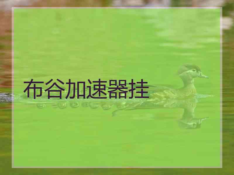 布谷加速器挂