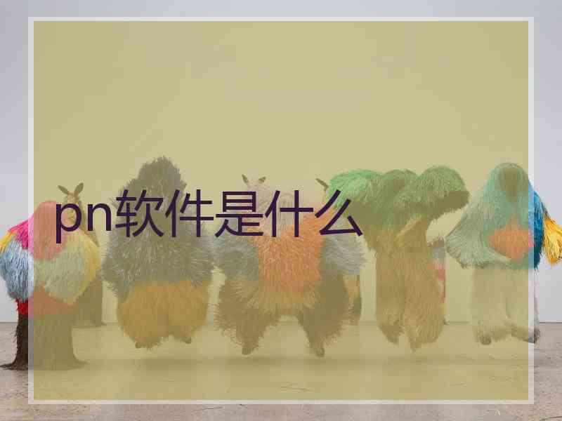 pn软件是什么