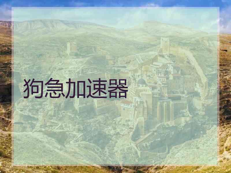 狗急加速器