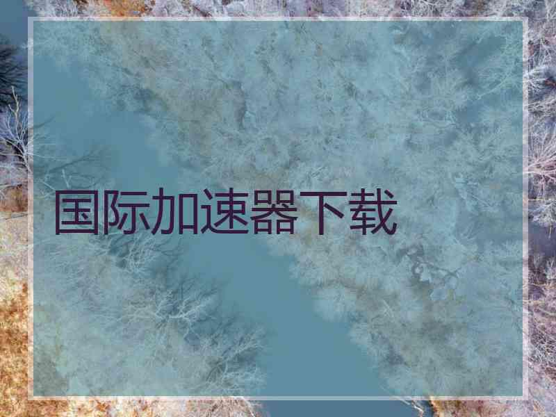 国际加速器下载