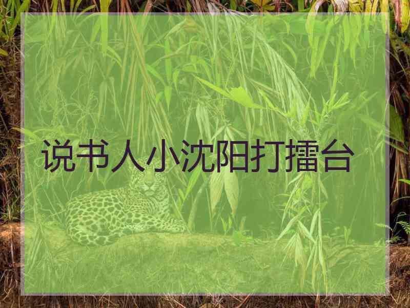 说书人小沈阳打擂台