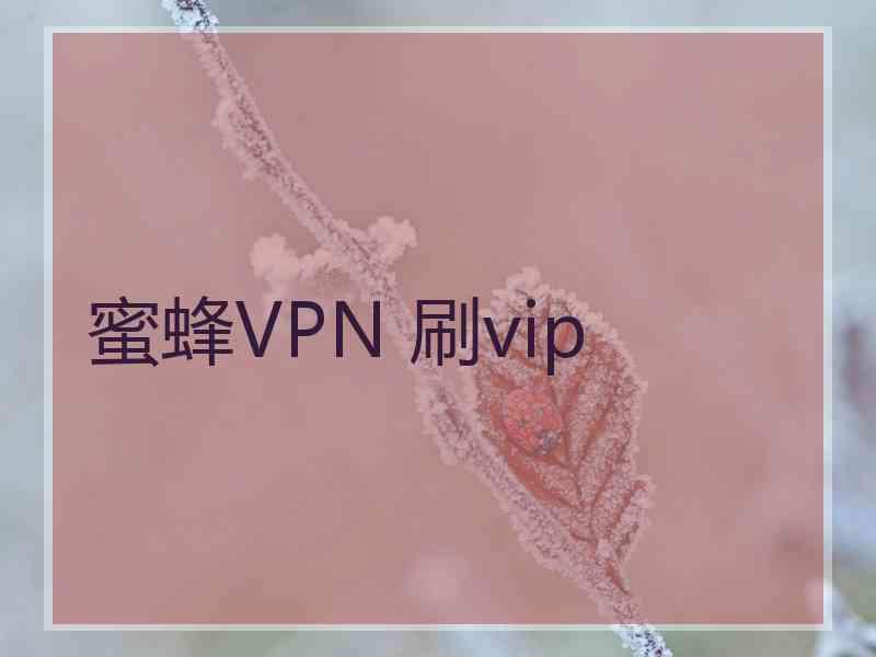 蜜蜂VPN 刷vip