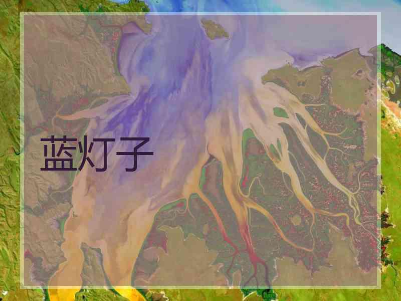 蓝灯子