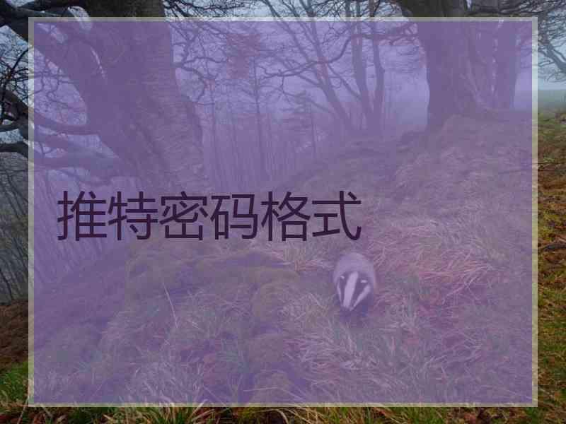 推特密码格式