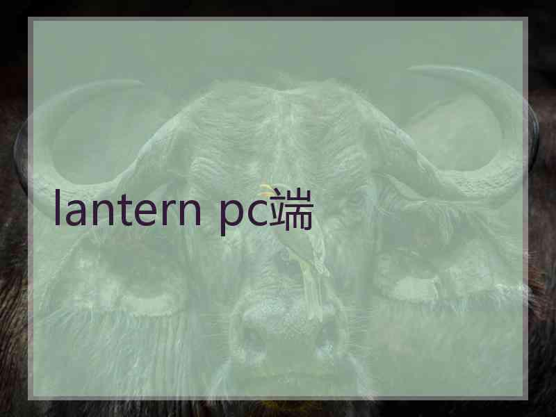 lantern pc端