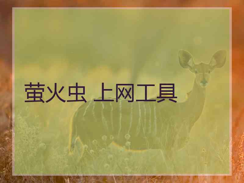 萤火虫 上网工具