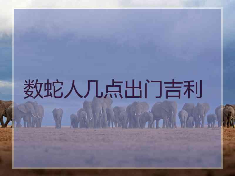 数蛇人几点出门吉利