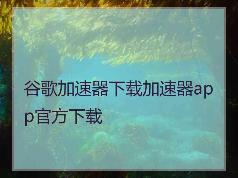 谷歌加速器下载加速器app官方下载