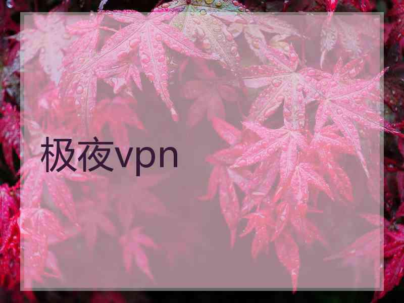 极夜vpn