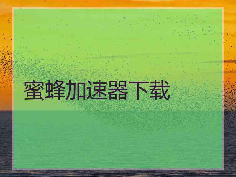 蜜蜂加速器下载