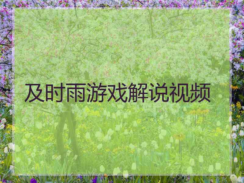 及时雨游戏解说视频
