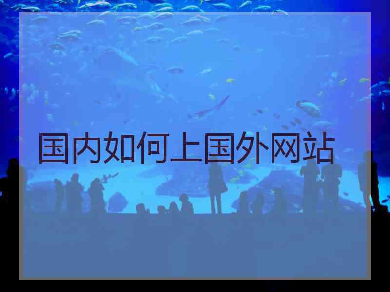 国内如何上国外网站