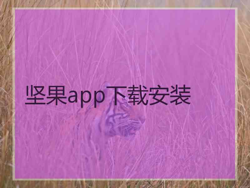坚果app下载安装