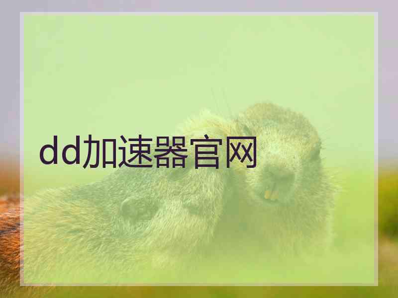 dd加速器官网