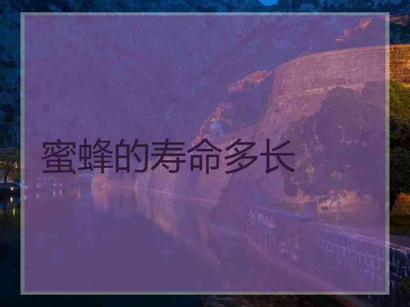 蜜蜂的寿命多长