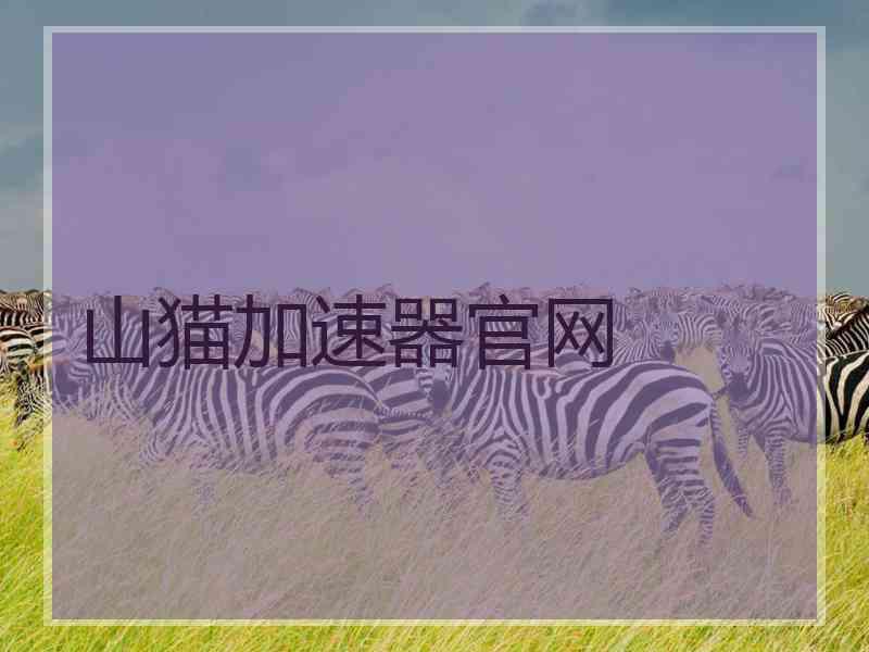 山猫加速器官网