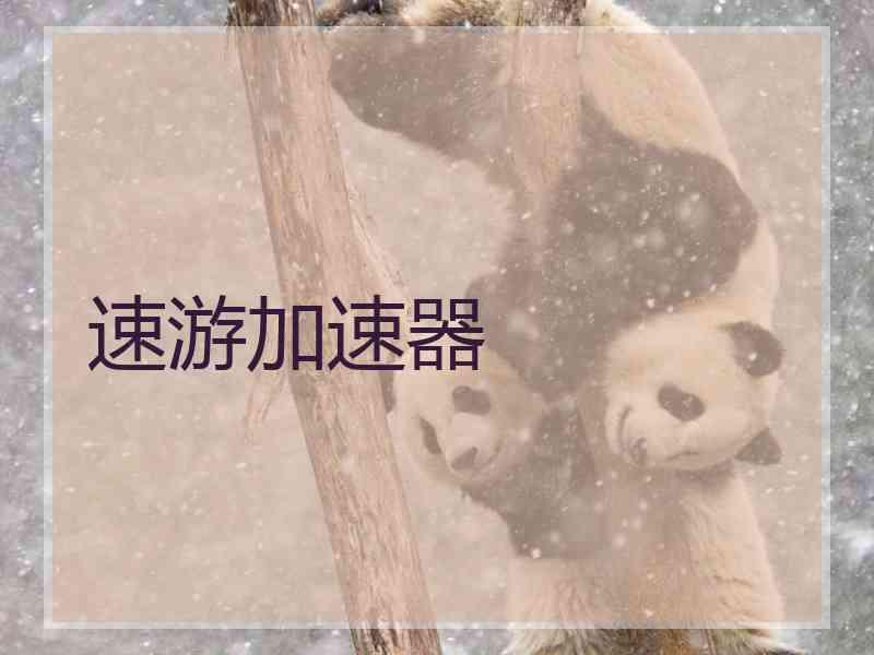 速游加速器