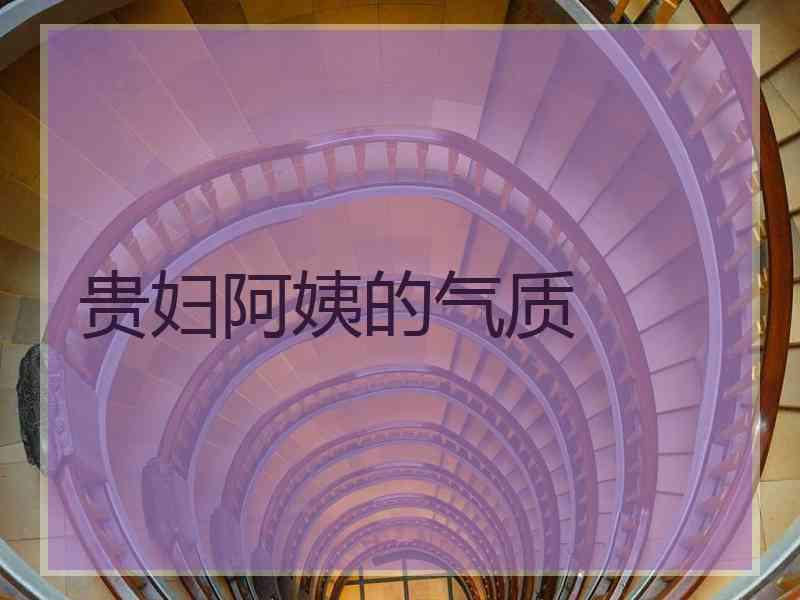 贵妇阿姨的气质