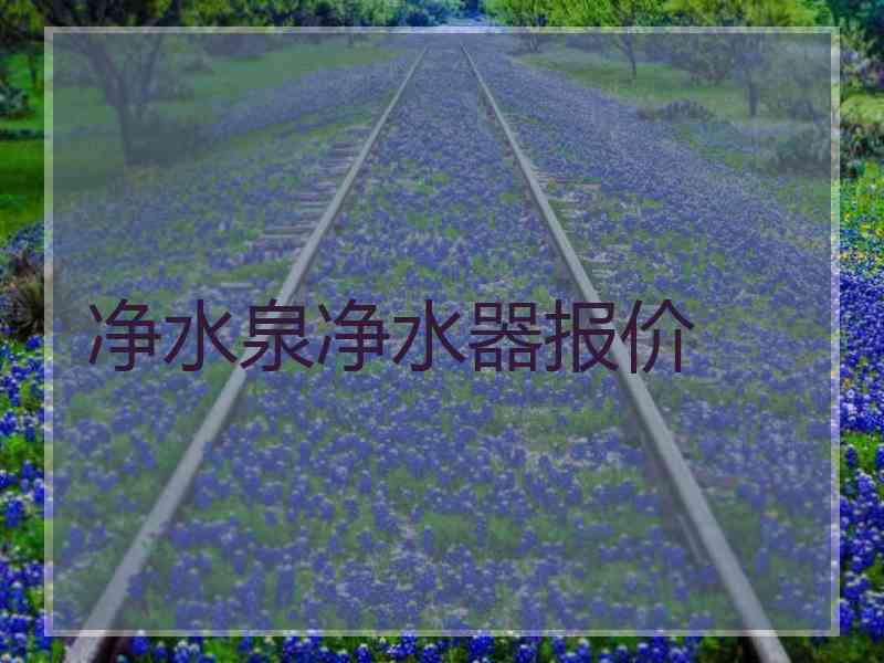 净水泉净水器报价