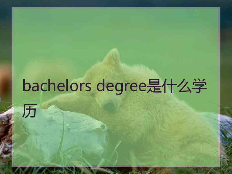 bachelors degree是什么学历
