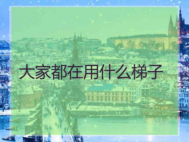 大家都在用什么梯子