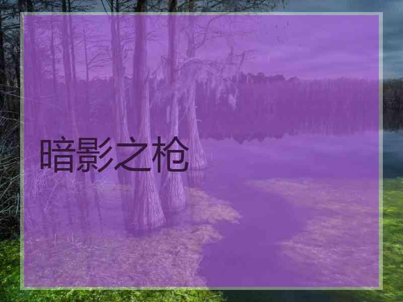 暗影之枪
