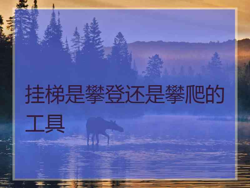 挂梯是攀登还是攀爬的工具