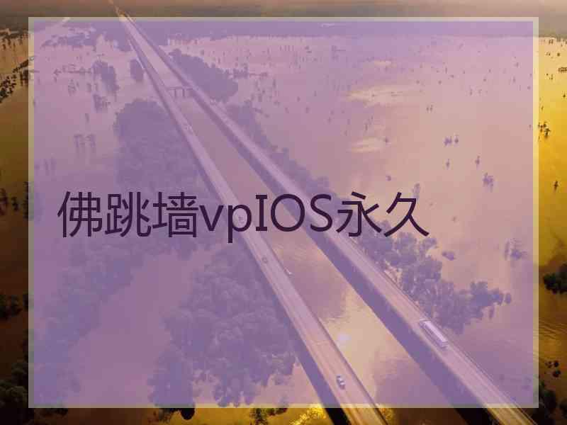 佛跳墙vpIOS永久