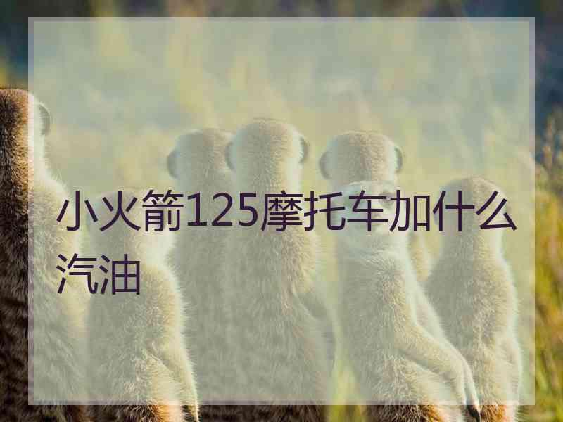 小火箭125摩托车加什么汽油