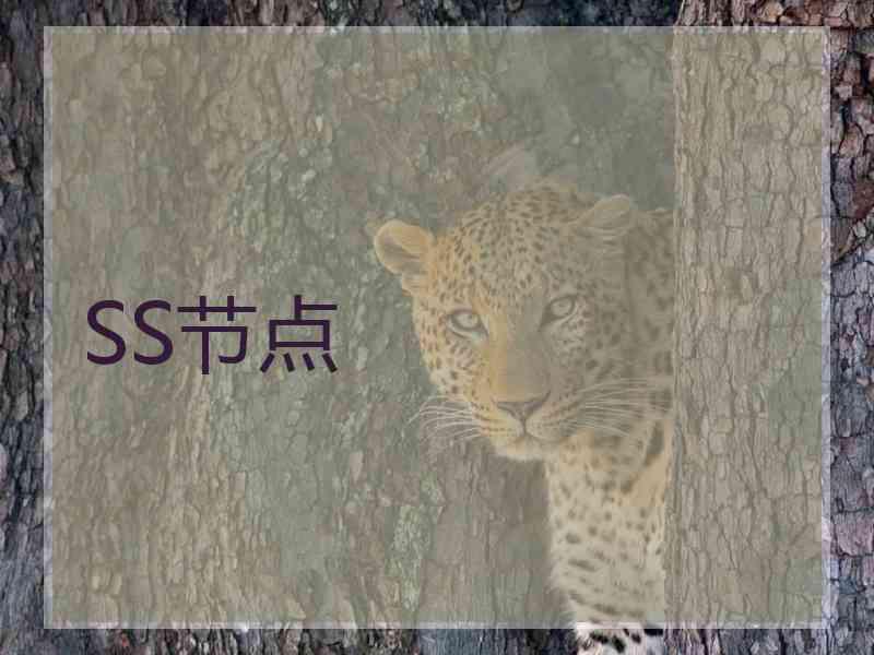 SS节点
