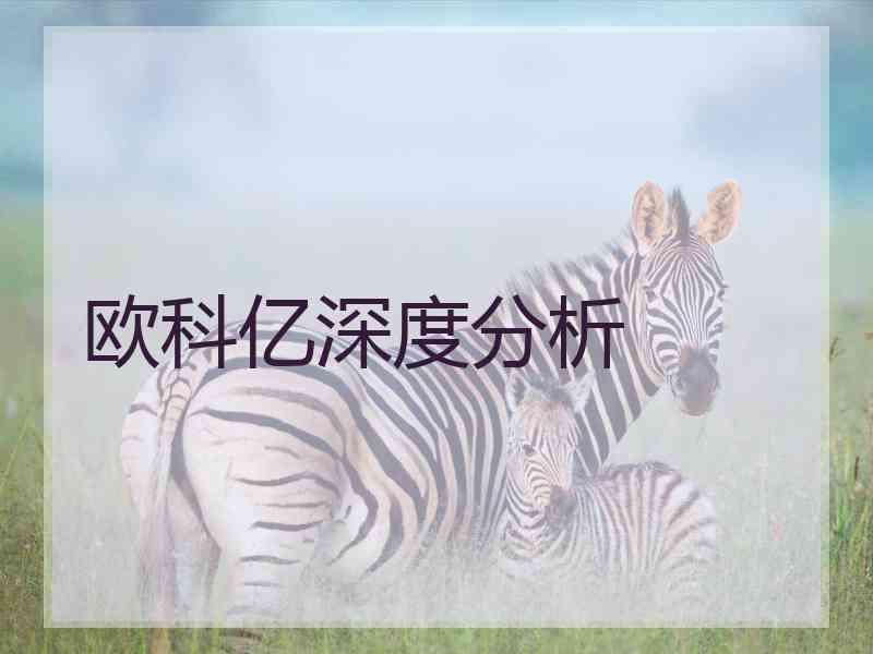 欧科亿深度分析