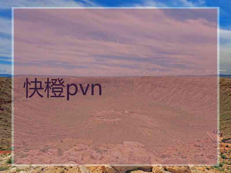 快橙pvn