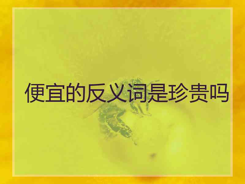 便宜的反义词是珍贵吗