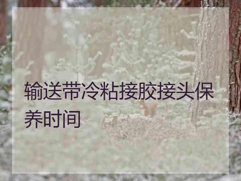 输送带冷粘接胶接头保养时间