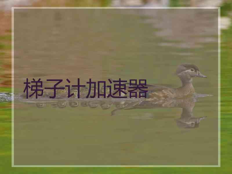 梯子计加速器