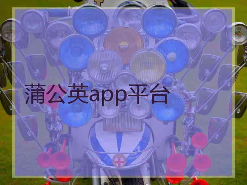 蒲公英app平台