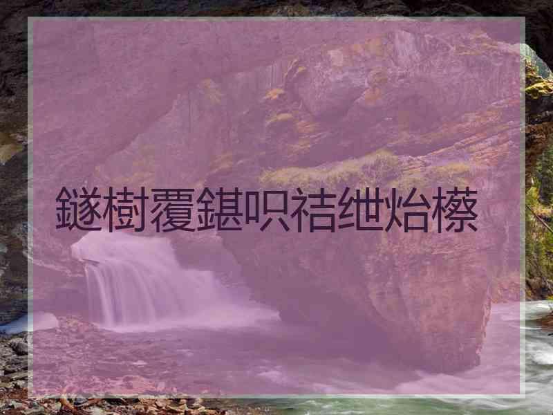 鐩樹覆鍖呮祮绁炲櫒