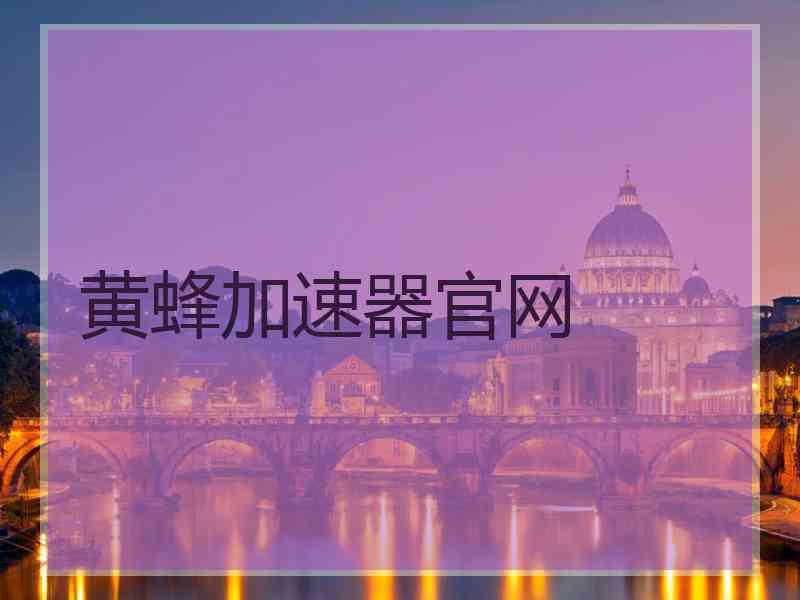 黄蜂加速器官网